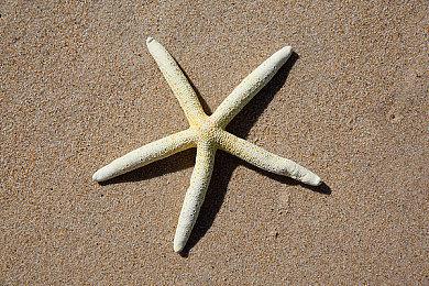 系列生父再出手 《毁灭战士2》新MOD《SIGIL 2》开发中